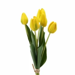 Tulppaanikimppu 40 cm – kaksi väriä