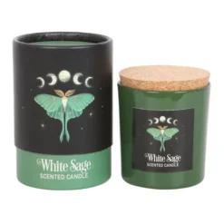 Tuoksukynttilä Luna Moth salvia