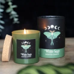 Tuoksukynttilä Luna Moth salvia