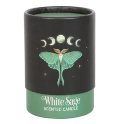 Tuoksukynttilä Luna Moth salvia