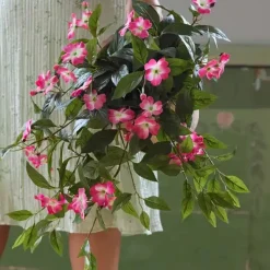Uudenguineanliisa riippuva pinkki