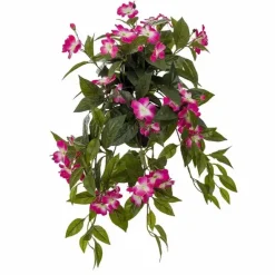Uudenguineanliisa riippuva pinkki