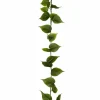 Viherköynnös 190 cm
