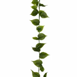 Viherköynnös 190 cm
