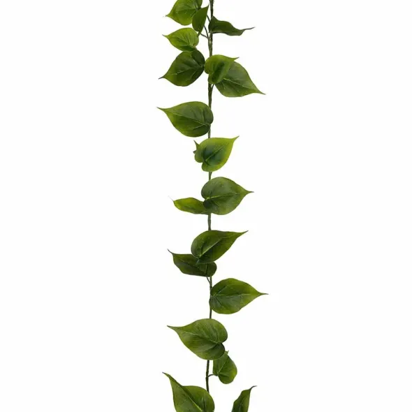 Viherköynnös 190 cm