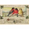 Vintage joulukortti Linnut Christmas Greetings