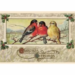 Vintage joulukortti Linnut Christmas Greetings
