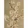 Vintage postikortti Blossom